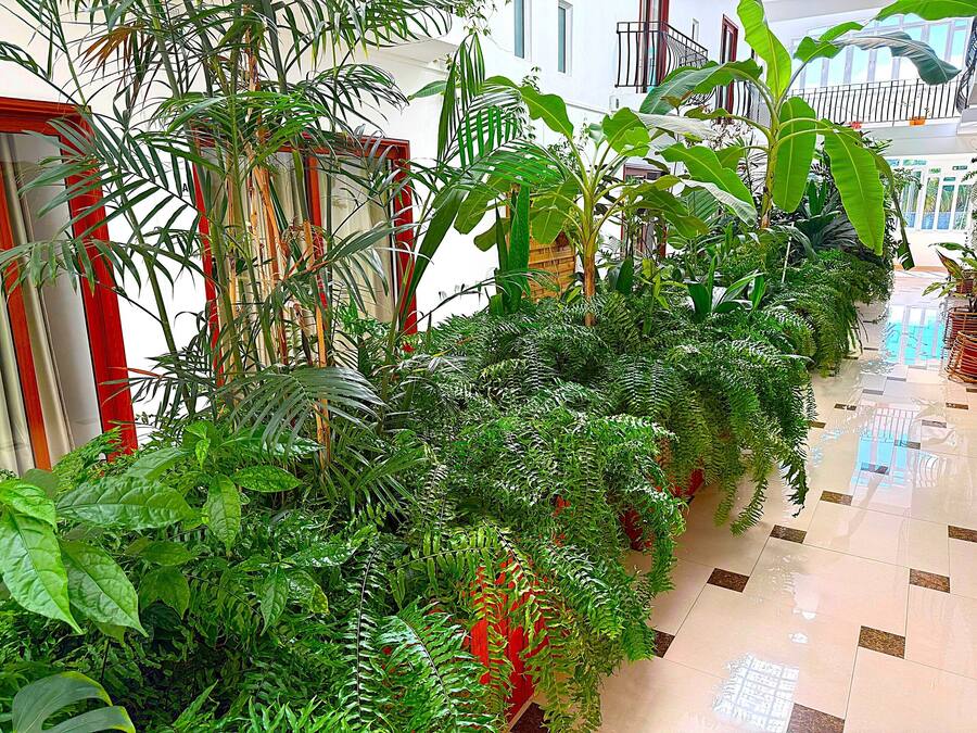 A corridor with lush green plants and a tiled floor.