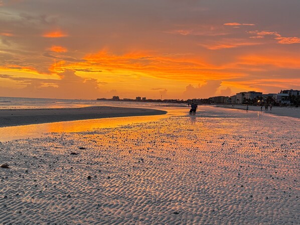 بالقرب من الشاطئ