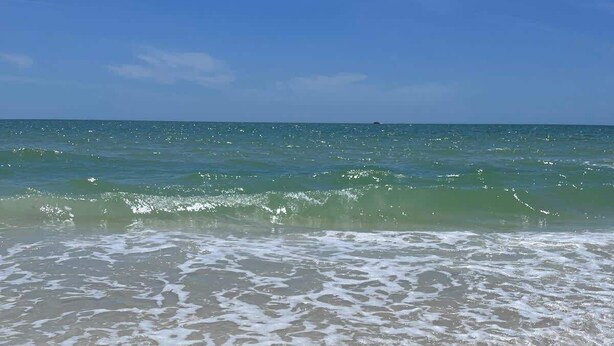A beach with clear water and a sandy shore. - 120 Falkirk Small Pet Friendly Cottage near Beach (Fort Myers Beach)