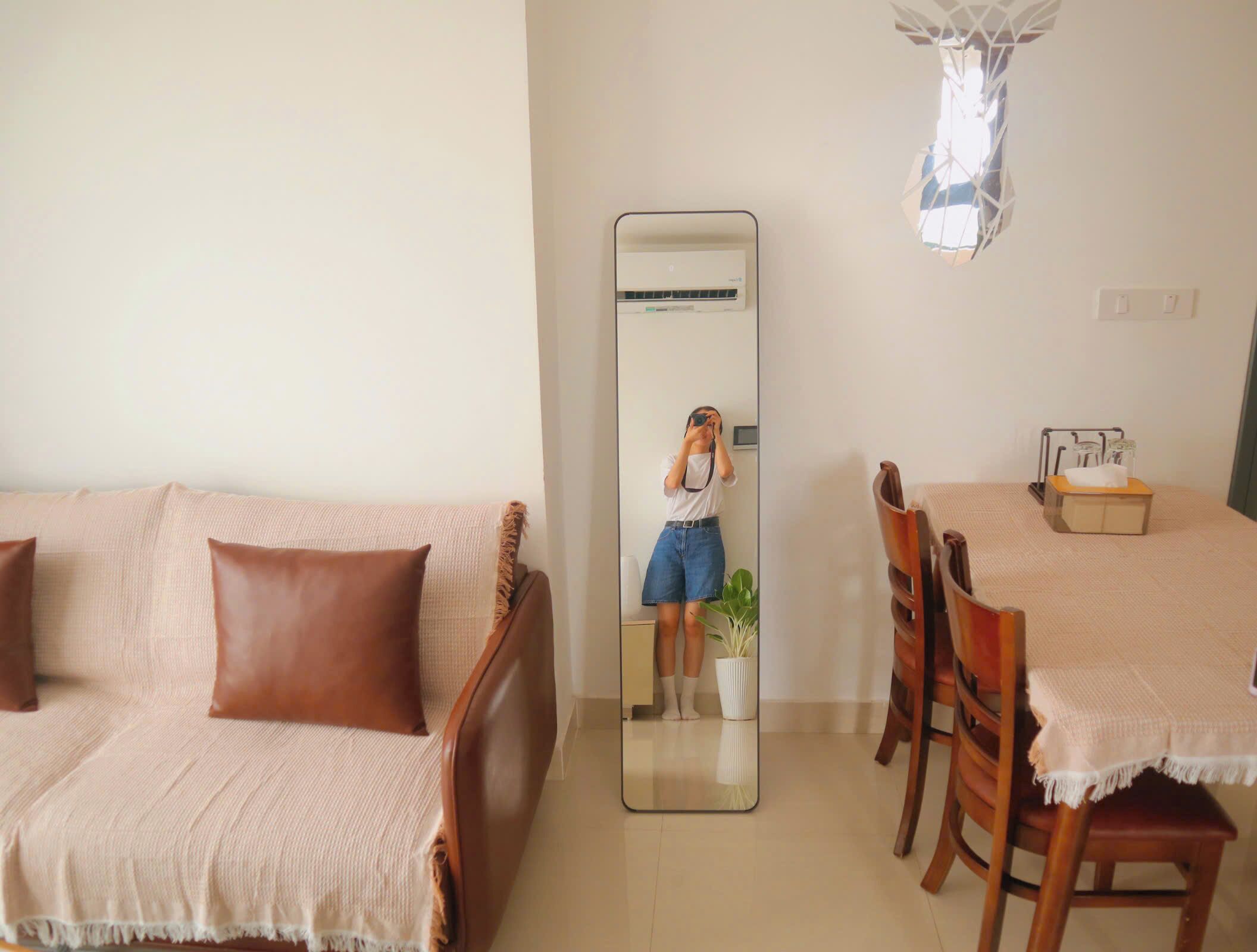 Une pièce avec un canapé beige, une table à manger avec des chaises, un grand miroir et une petite plante en pot.