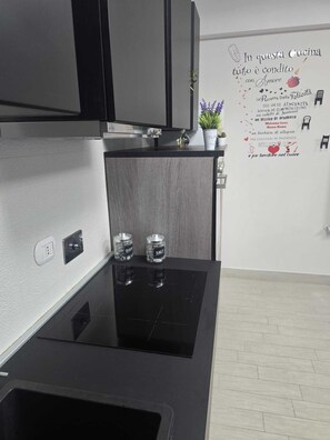 Oven, stovetop, dishwasher
