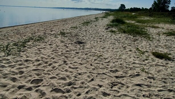 Beach - Charming summer house at Vejlby Fed (Middelfart)