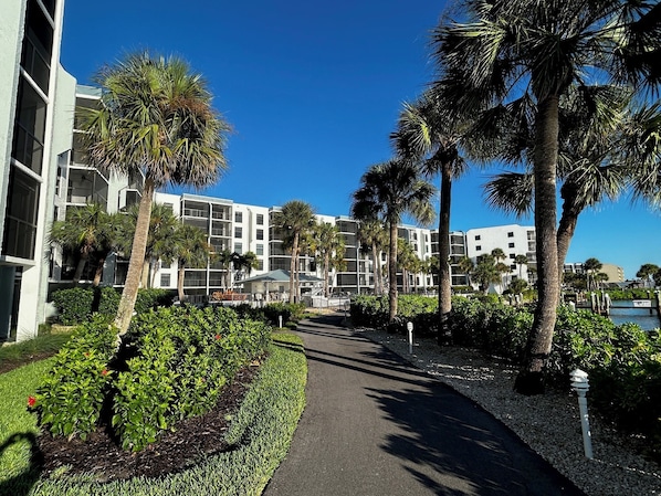 A pathway leading to a modern building with multiple floors, surrounded by well-maintained greenery and palm trees.