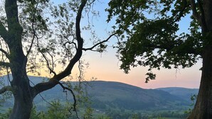 Property grounds - Off-Grid Woodland Retreat & Wild Sauna Near Llangollen (Llangollen)