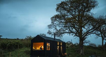 Woodland Hideaway on a Working Farm Near Snowdonia