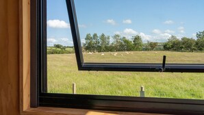 Ein Fenster mit Blick auf ein grasbewachsenes Feld und Bäume.