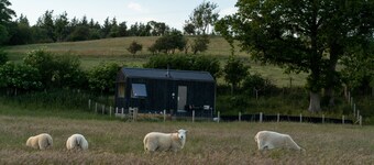 Woodland Hideaway on a Working Farm Near Snowdonia