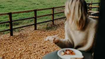 Eine Person sitzt an einem Tisch mit Essensplatten auf einer Terrasse mit Blick auf ein grünes Feld und Bäume.