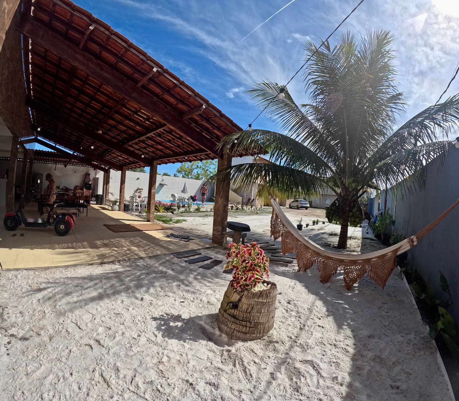 Un espacio al aire libre techado con suelo de arena, una hamaca y una palmera.