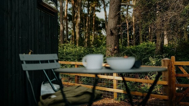 Property grounds - Luxury Eco-Friendly Off-Grid Forest Cabin With Outdoor Bath (Swynnerton)