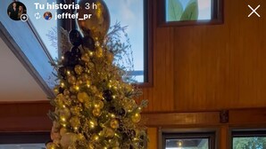 Interior - VILLA PR, Pool, Basketball Court, Private (Vega Baja)