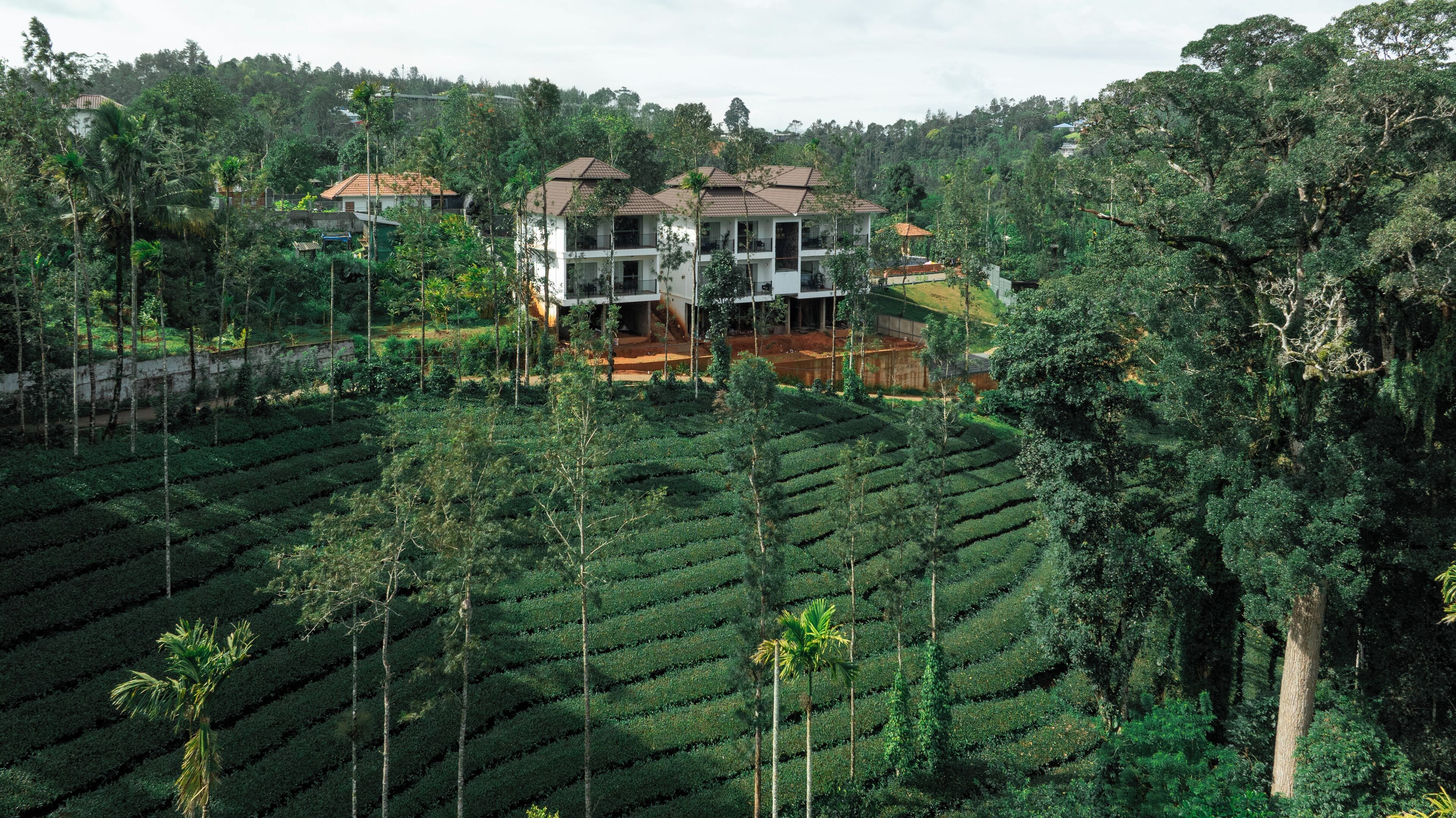 A multi-story building with a flat roof, surrounded by terraced tea plantations.