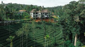 A multi-story building with a flat roof, surrounded by terraced tea plantations.