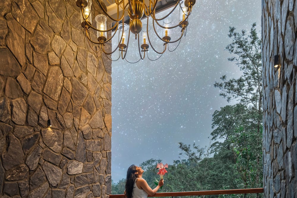 The Feel Munnar Resort