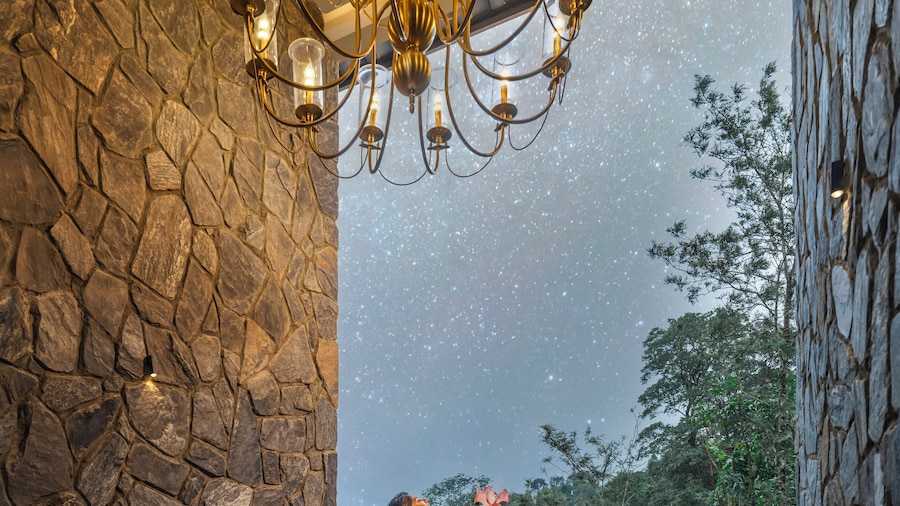 The Feel Munnar Resort