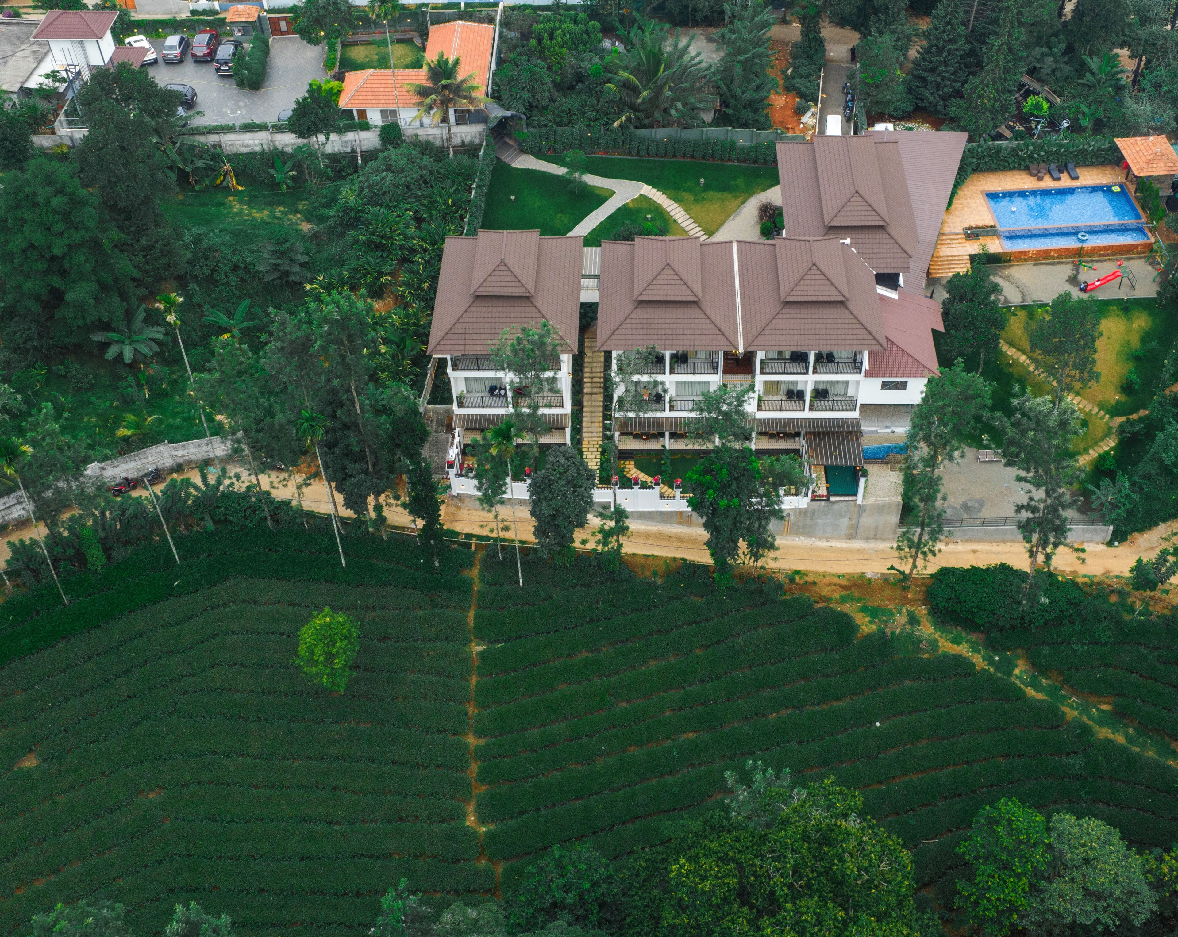 A multi-story building with a rooftop pool, surrounded by lush greenery and a tea plantation.