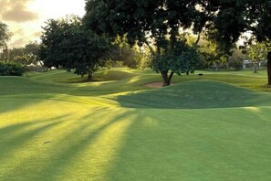 Golf
