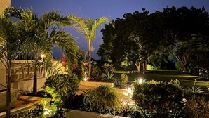Un jardin bien éclairé, agrémenté de diverses plantes et arbres, un mur de pierre et un chemin menant à un bâtiment.