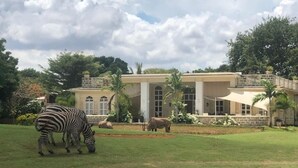 Un bâtiment avec une grande pelouse et deux zèbres qui broutent.
