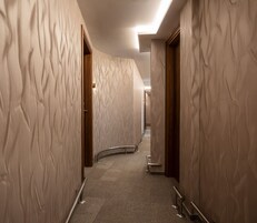 Un couloir aux murs ornés de motifs, doté d’un plafond cintré et d’un sol recouvert de moquette.