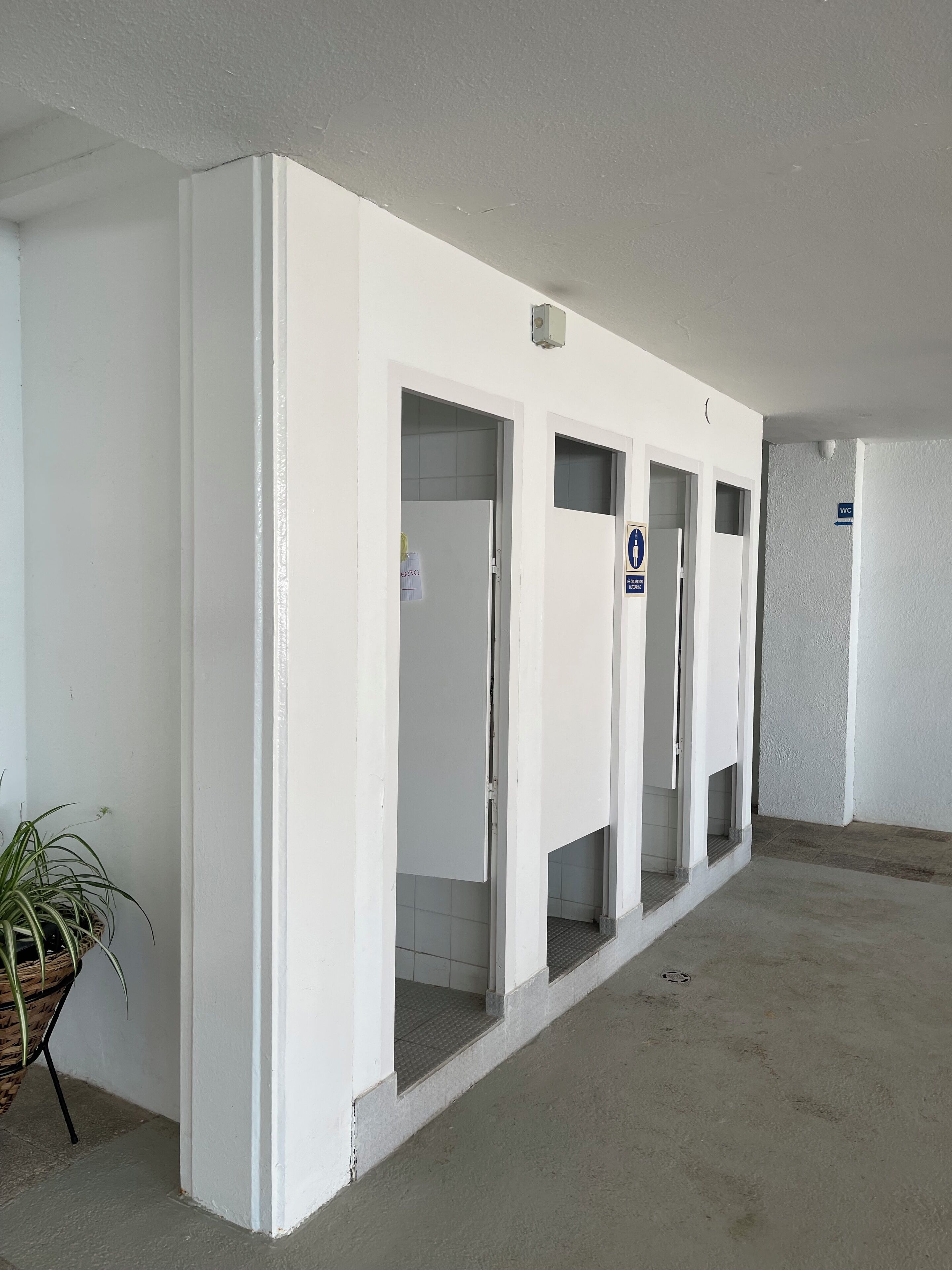 A corridor with white walls, doors leading to rooms, a potted plant, and a sign indicating a restroom.