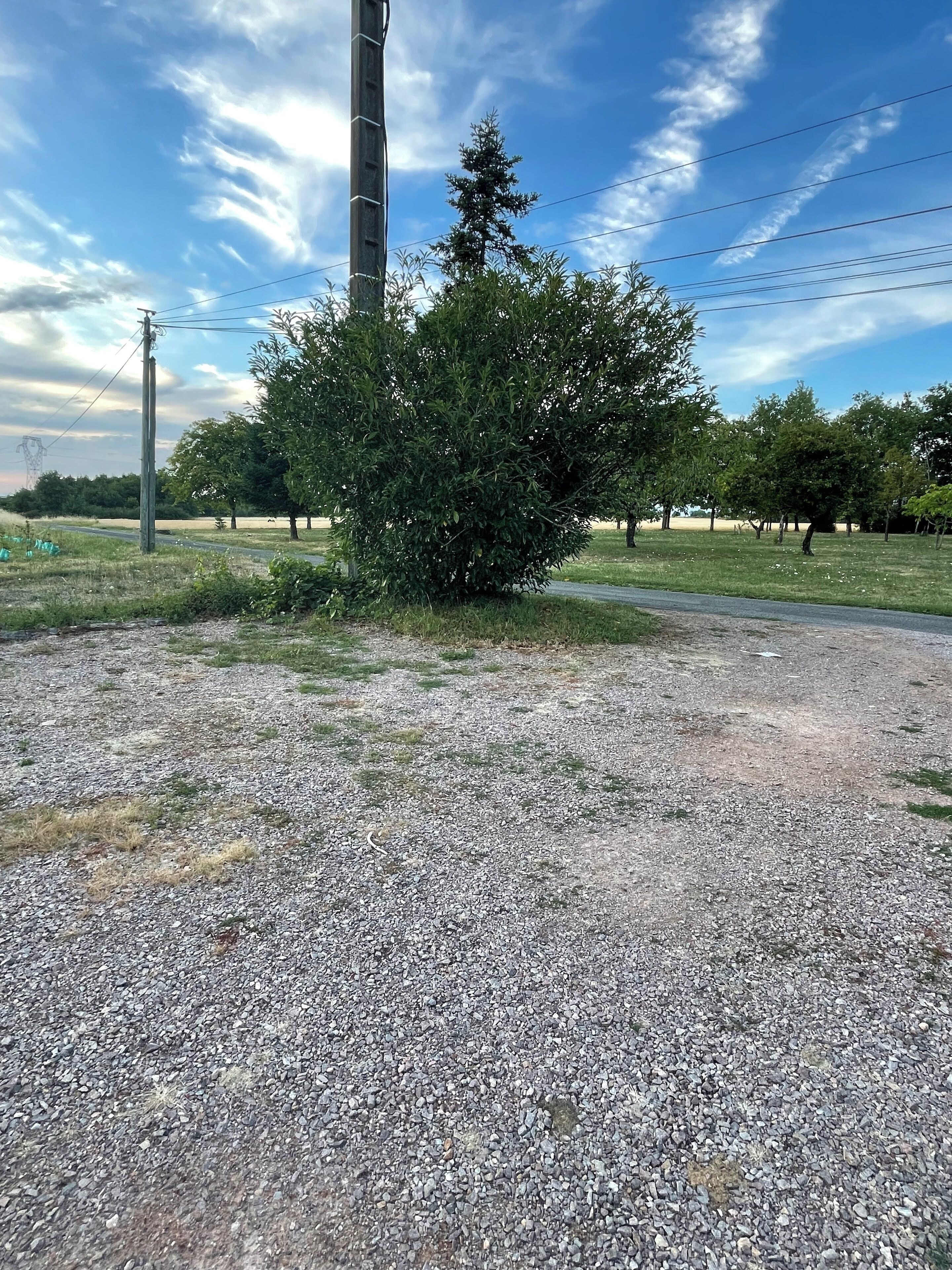 Un chemin de gravier bordé d’arbustes et surmonté d’un poteau électrique.
