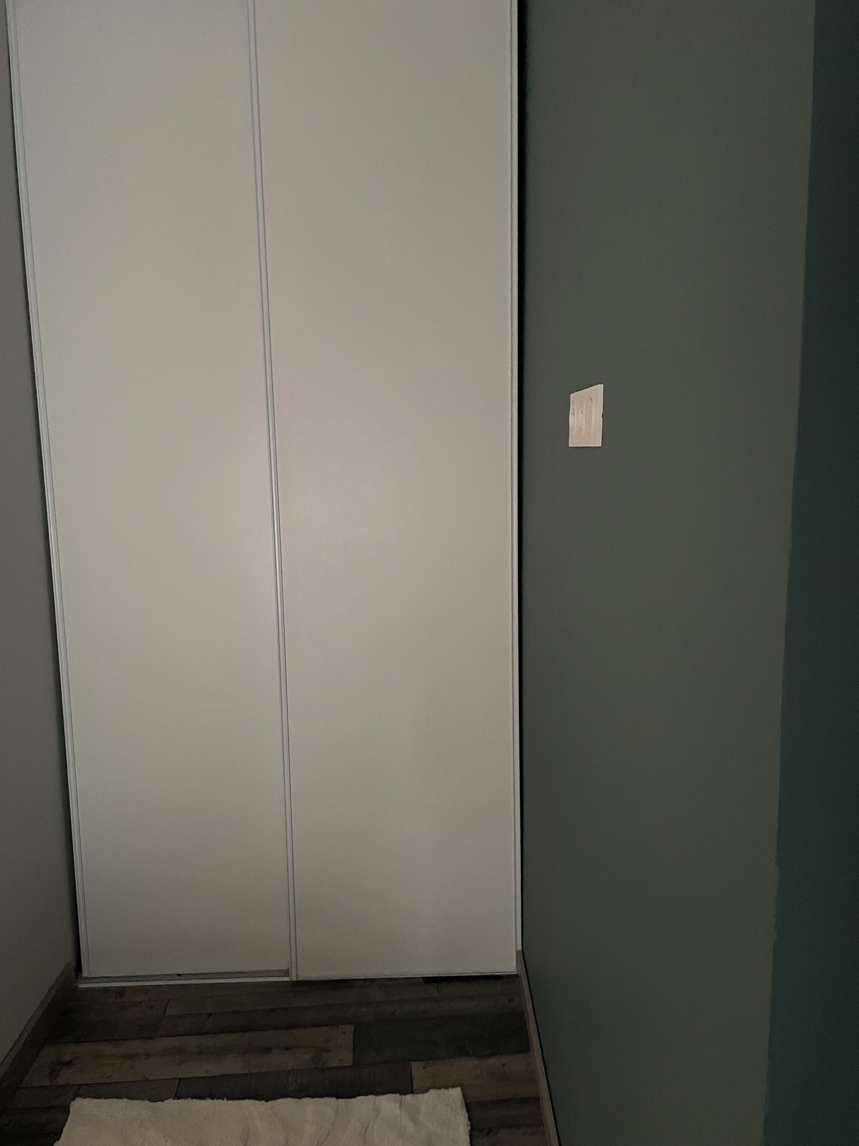 Une pièce avec une porte fermée, un petit interrupteur blanc sur le mur et un plancher en bois.