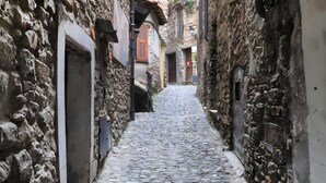 A narrow cobblestone alley flanked by stone buildings with doors and windows, suggesting a historic or traditional setting.