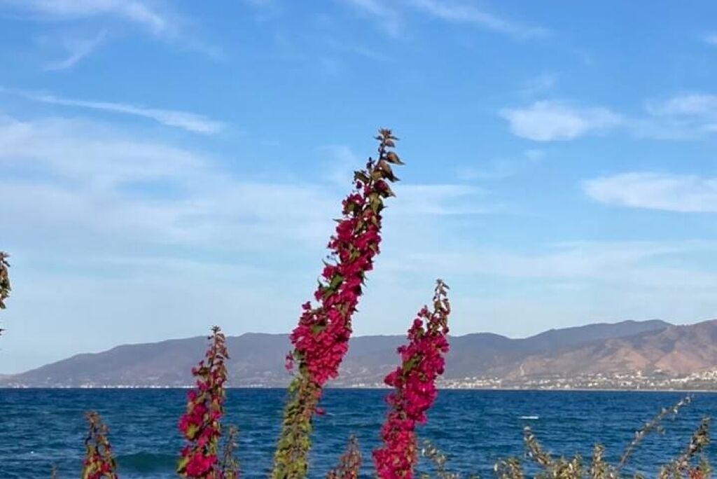 Une vue sur la côte, avec un ciel dégagé et des montagnes à l’horizon.