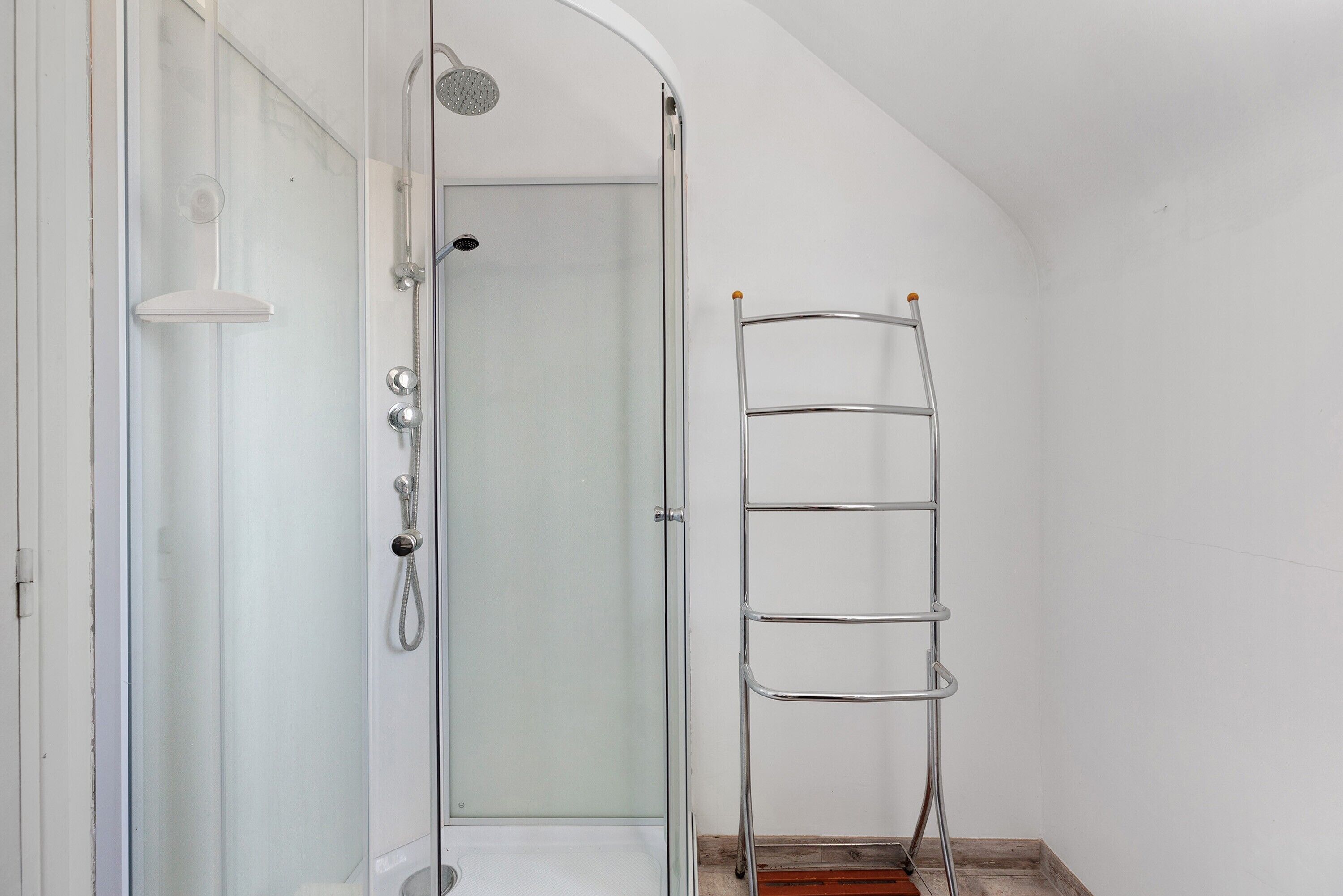 A shower with a glass door, a metal ladder, and a white interior.