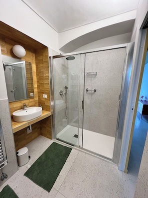 Shower, hair dryer, bidet, towels
