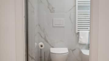 Shower, hair dryer, bidet, towels