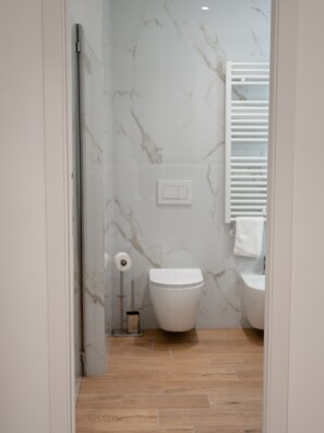 Shower, hair dryer, bidet, towels