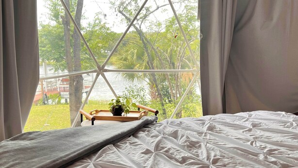 Un lit recouvert d’une couverture grise, un plateau en bois avec une plante, et une vue sur un lac, encadrée par une fenêtre à cadre blanc.