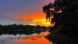 Un coucher de soleil sur un lac paisible, parsemé de nénuphars, avec une rive bordée d’une forêt.