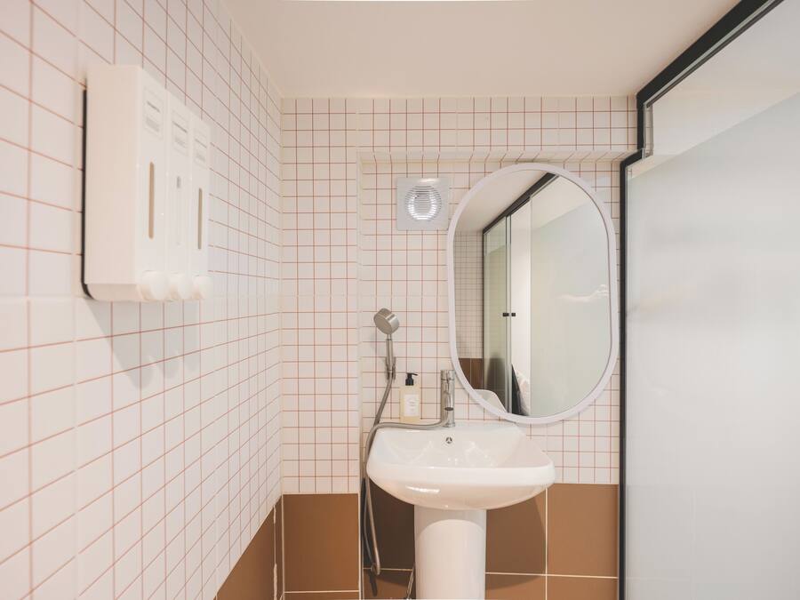 A bathroom with a white sink, a mirror, a handheld showerhead, and a soap dispenser.