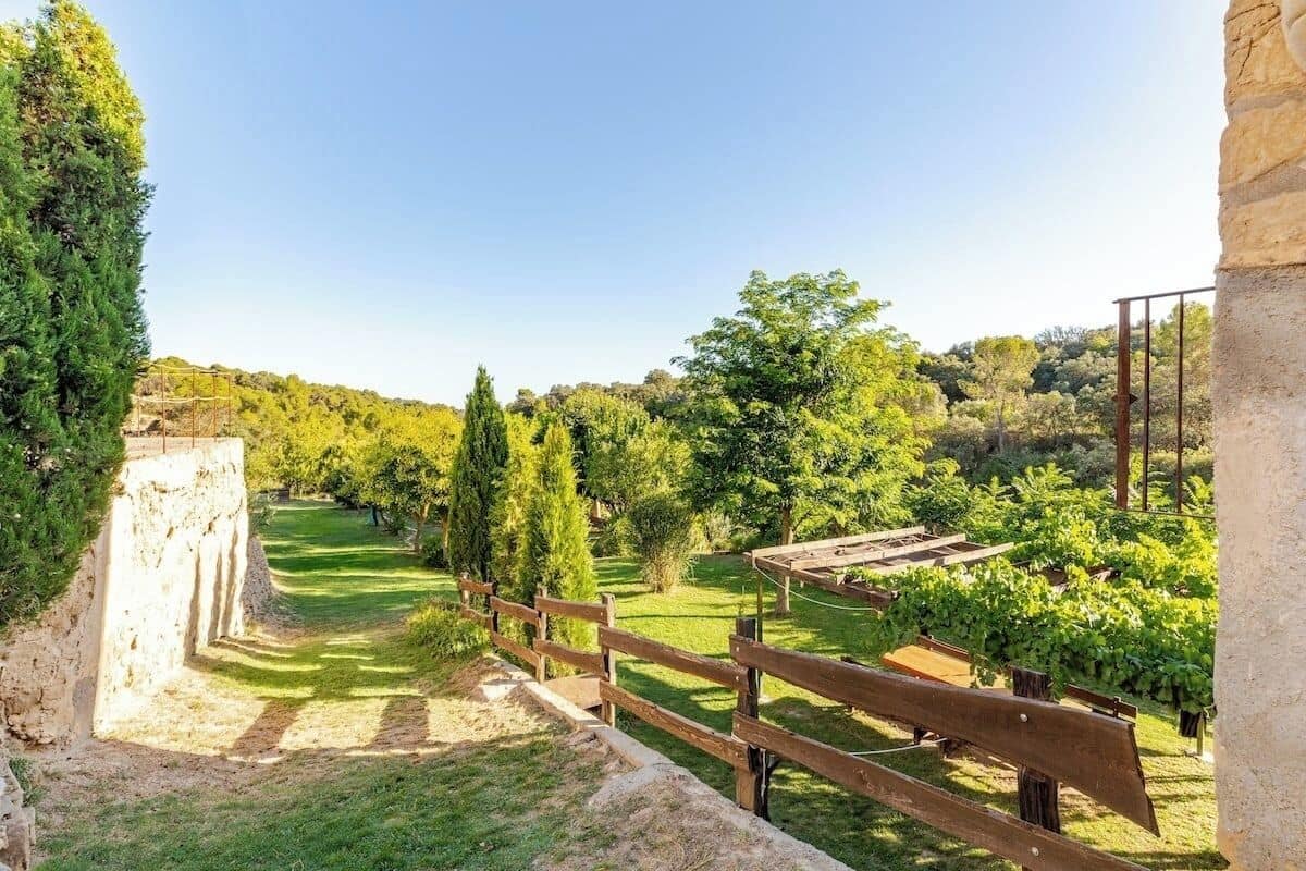 A vineyard with a wooden fence, stone walls, and a clear sky.