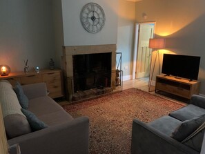 TV, fireplace - Lady Rhoda (Seaton Sluice)
