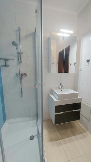 Shower, hair dryer, bidet, towels