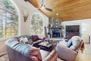 Tv, pejs, videospil, dvd-afspiller