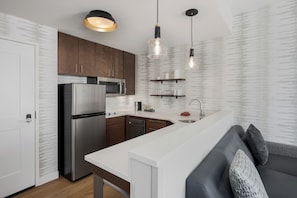 Grand réfrigérateur, micro-ondes, plaque de cuisson, lave-vaisselle