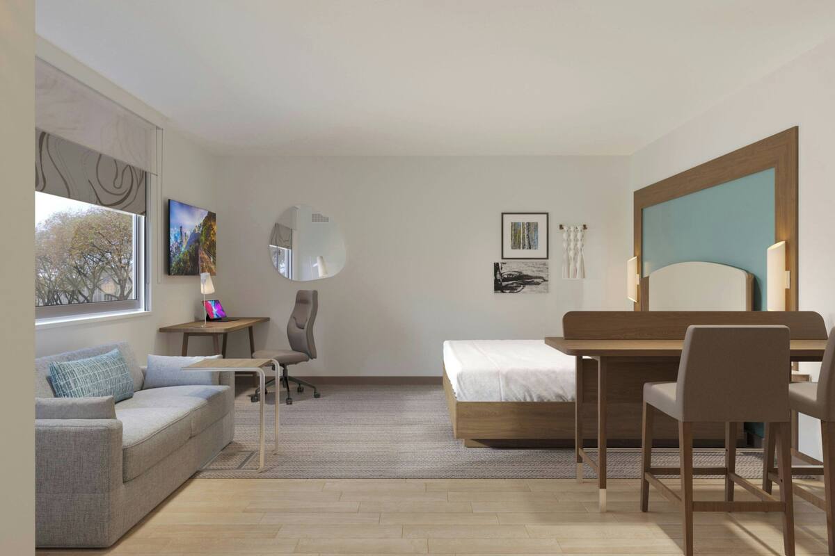 Studio, 1 King Bed