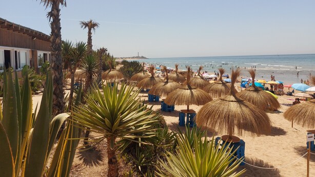 Une plage avec des parasols en chaume, des palmiers et un bâtiment doté de grandes fenêtres.