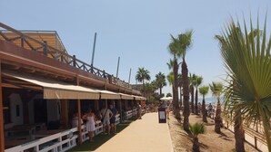 Une promenade en bord de mer avec des espaces de repos en plein air, des palmiers et une vue sur l’océan.