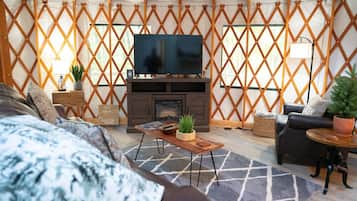 TV, fireplace