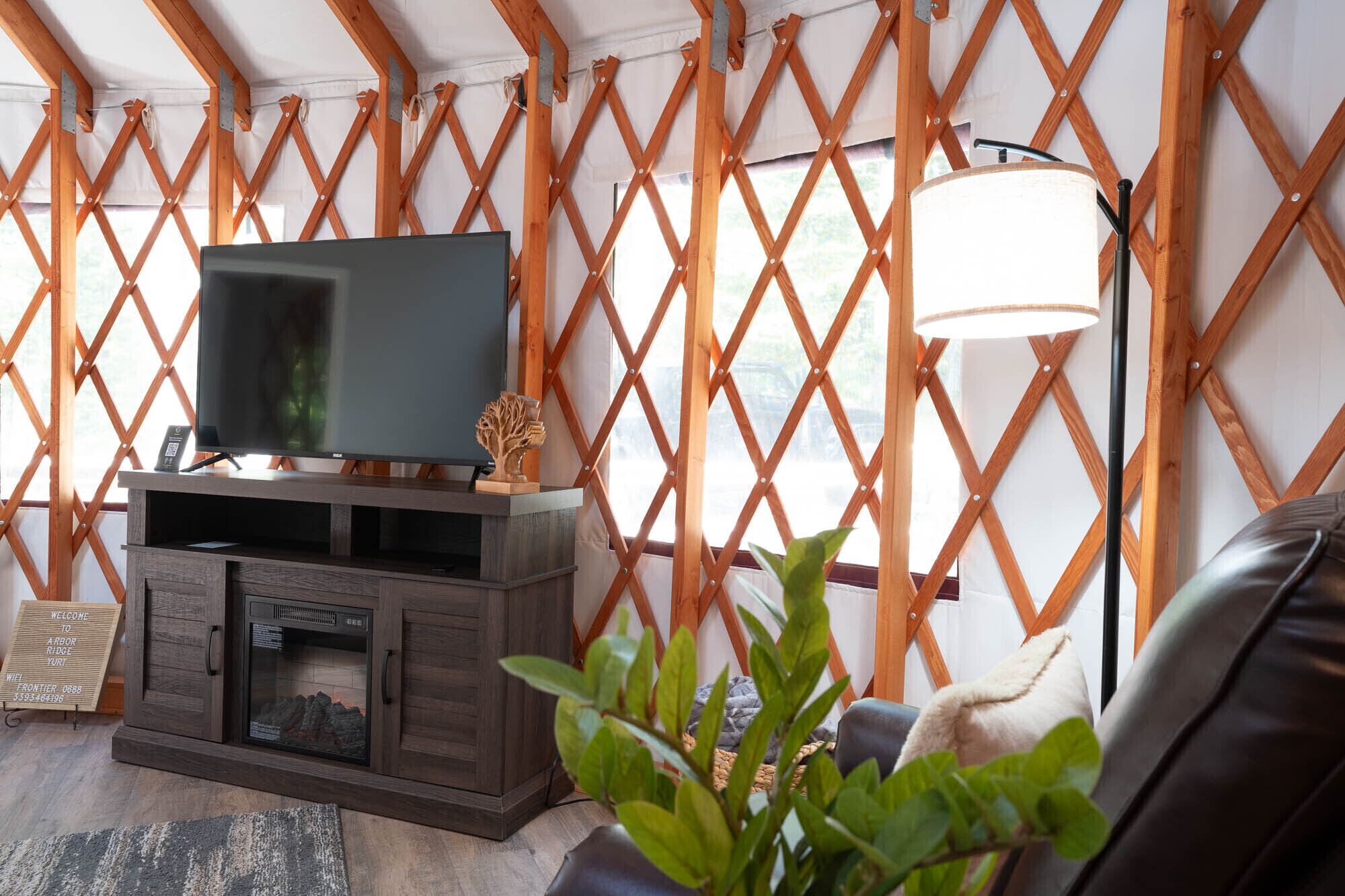 Smart-TV, Kamin