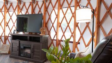 Smart-TV, Kamin