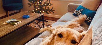 Charming 2-bedroom updated pet-friendly home in Central Salina!