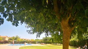 A park with a swimming pool, grassy areas, and trees.