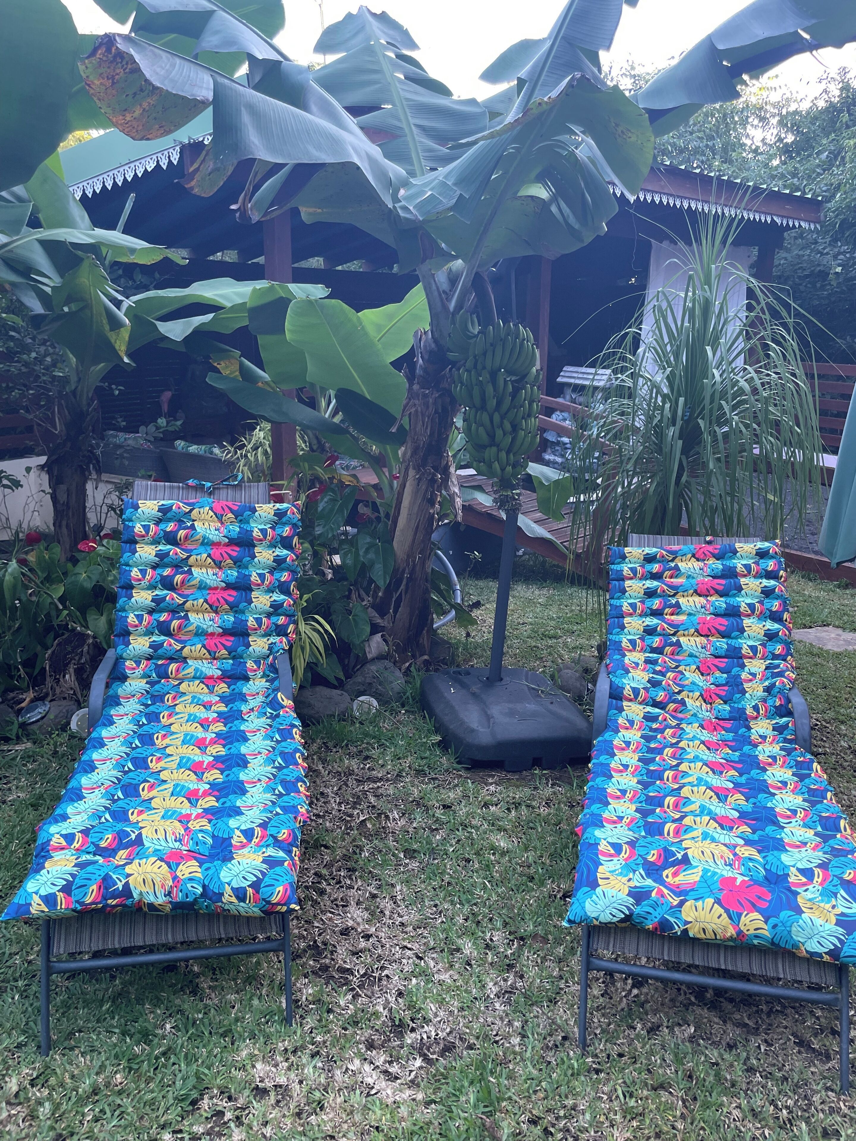Two outdoor lounge chairs with colorful tropical leaf-patterned cushions, positioned under a large banana tree in a garden setting.